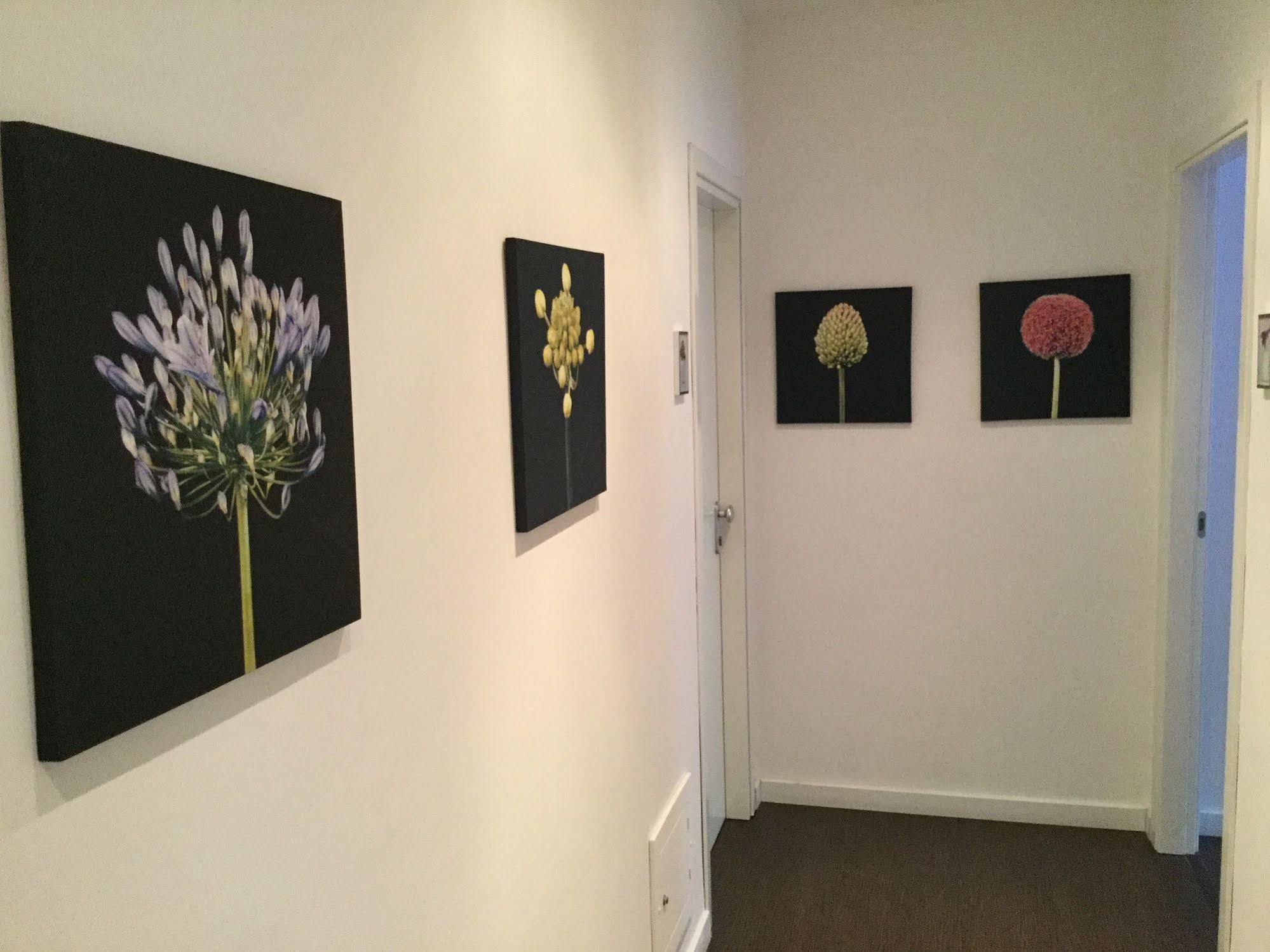 Domus Corso Umberto 18 Pescara
